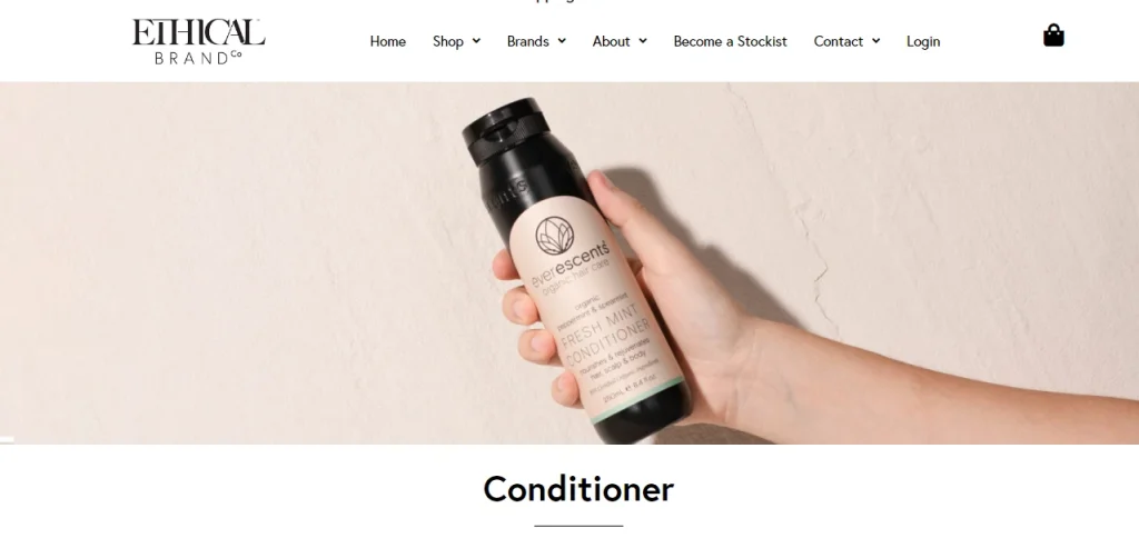 Screenshot of ethical brand co's website