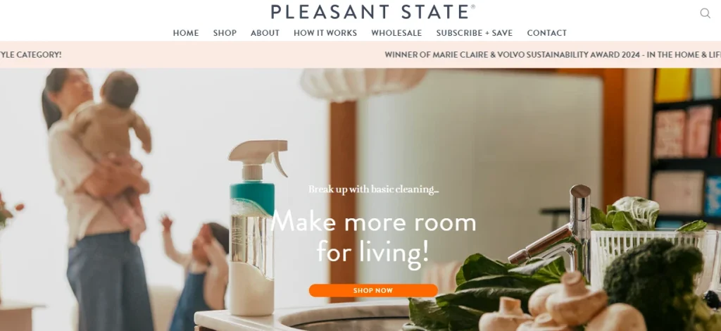 Screenshot of pleasant state's website