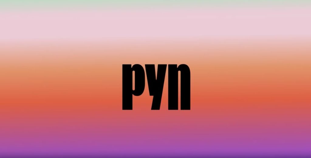 big black text that reads: pyn. background is a gradient of sunset colours